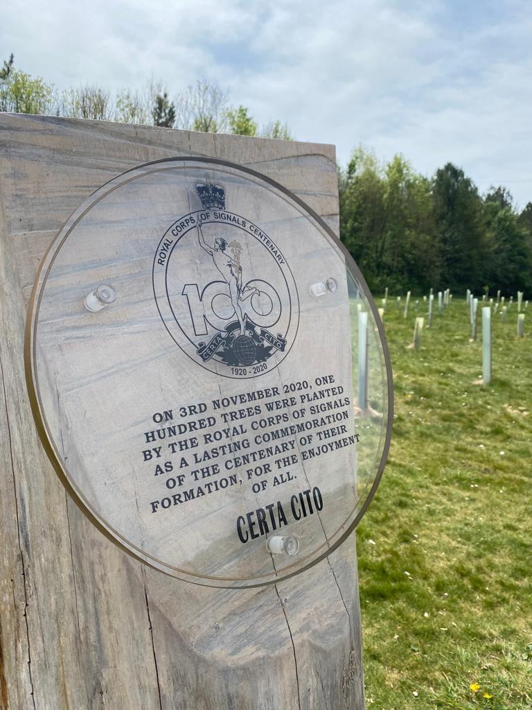 In 2020 we planted 100 trees in celebration of the Royal Signals Centenary